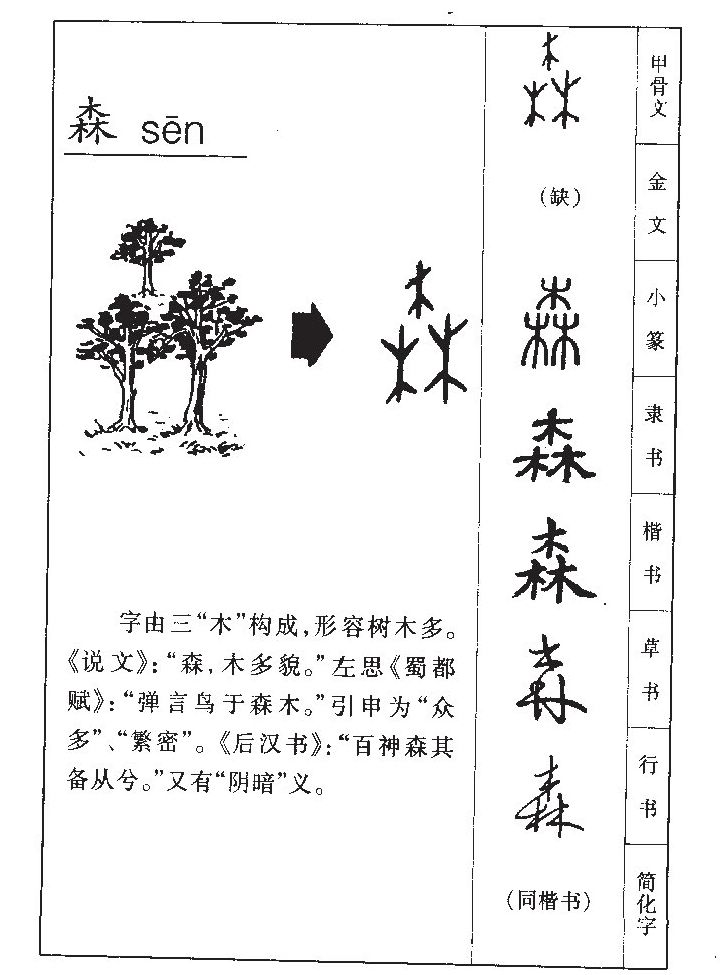 森字五行属什么-森字起名的寓意-森字意思