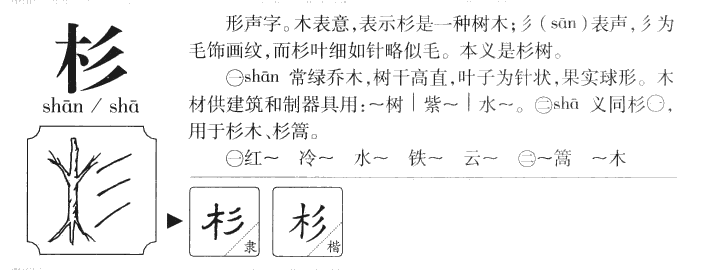 杉字五行属什么-杉字起名的寓意-杉字意思