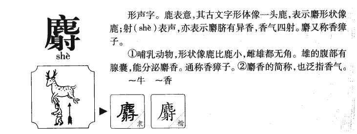 麝字五行属什么-麝字起名的寓意-麝字意思