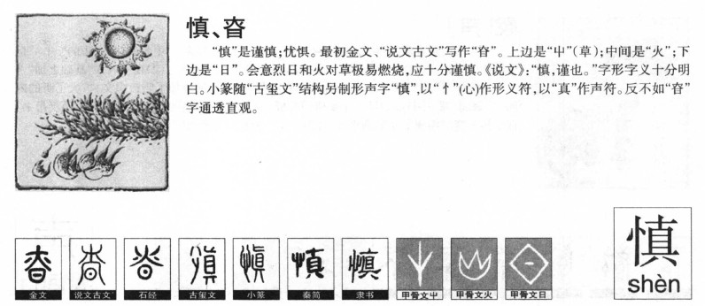 慎字五行属什么-慎字起名的寓意-慎字意思