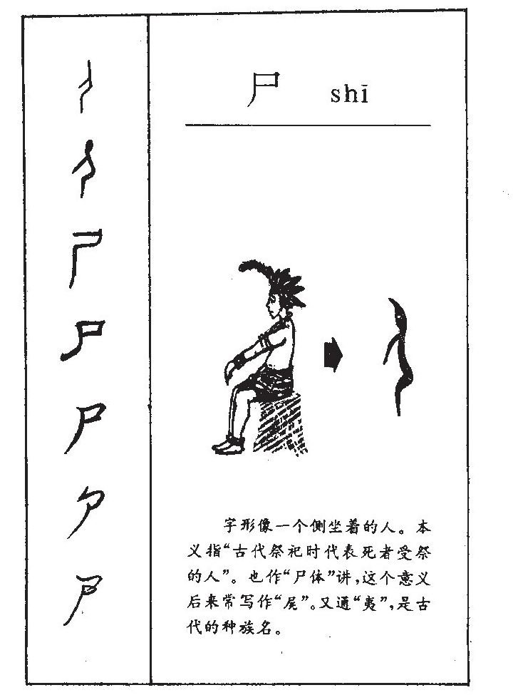 尸字五行属什么-尸字起名的寓意-尸字意思