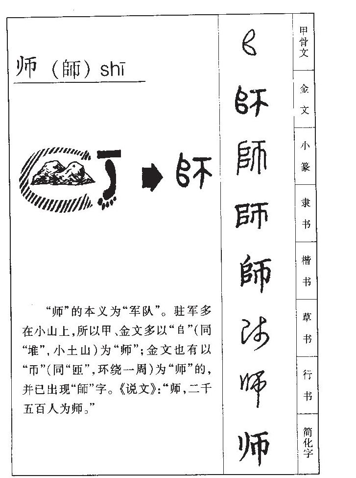 师