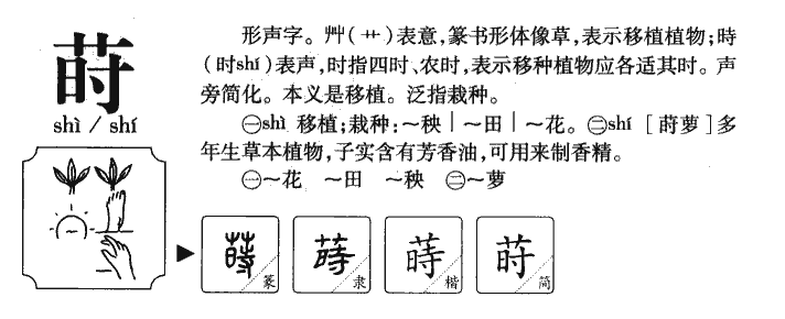 莳字五行属什么-莳字起名的寓意-莳字意思