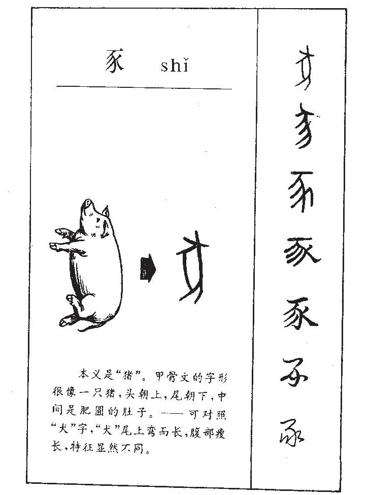 豕字五行属什么-豕字起名的寓意-豕字意思
