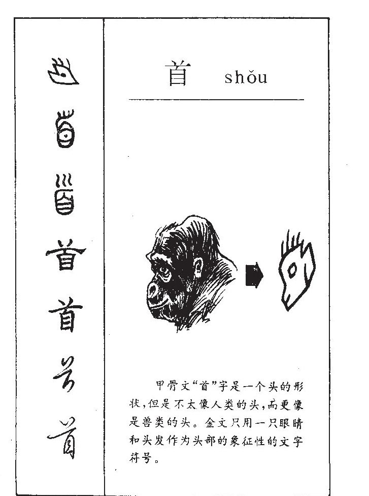首字五行属什么-首字起名的寓意-首字意思