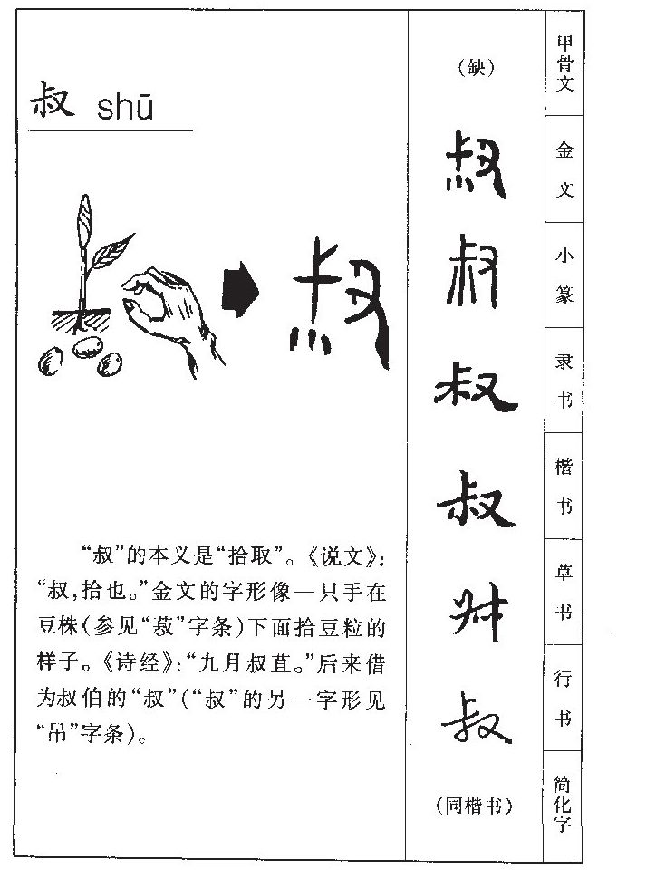 叔字五行属什么-叔字起名的寓意-叔字意思