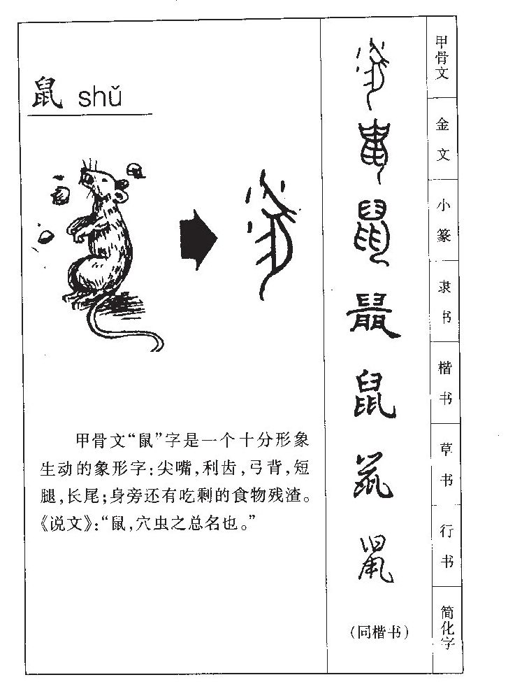 鼠字五行属什么-鼠字起名的寓意-鼠字意思