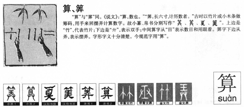 算字五行属什么-算字起名的寓意-算字意思