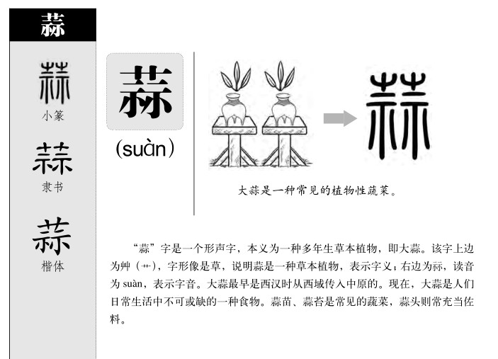 蒜字五行属什么-蒜字起名的寓意-蒜字意思