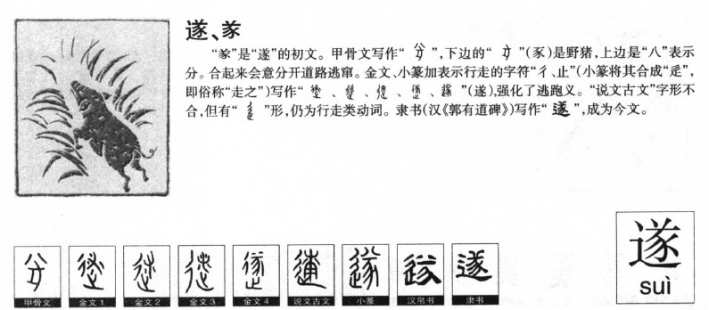 遂字五行属什么-遂字起名的寓意-遂字意思