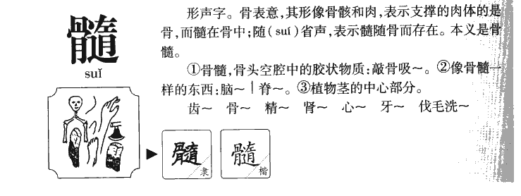 髓字五行属什么-髓字起名的寓意-髓字意思