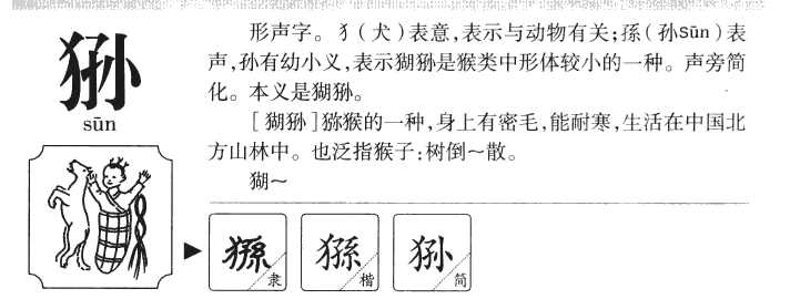 狲字五行属什么-狲字起名的寓意-狲字意思