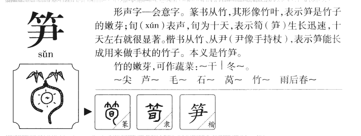 笋字五行属什么-笋字起名的寓意-笋字意思