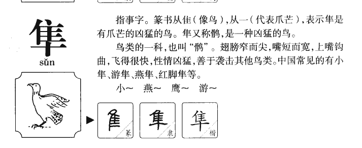隼字五行属什么-隼字起名的寓意-隼字意思