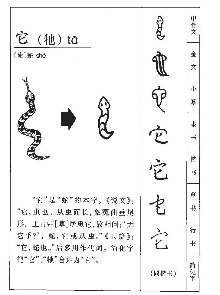 它字五行属什么-它字起名的寓意-它字意思