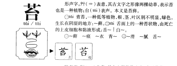 苔字五行属什么-苔字起名的寓意-苔字意思