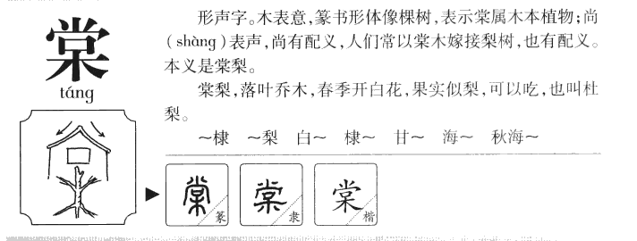 棠字五行属什么-棠字起名的寓意-棠字意思