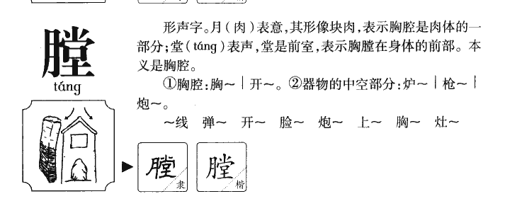 膛字五行属什么-膛字起名的寓意-膛字意思