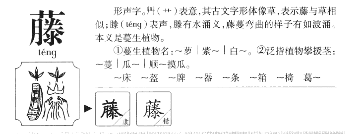 藤字五行属什么-藤字起名的寓意-藤字意思