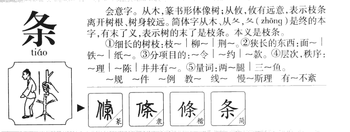 条字五行属什么-条字起名的寓意-条字意思