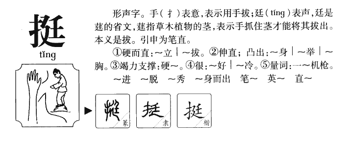 挺字五行属什么-挺字起名的寓意-挺字意思