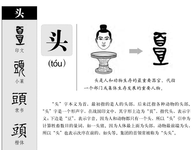 头字五行属什么-头字起名的寓意-头字意思