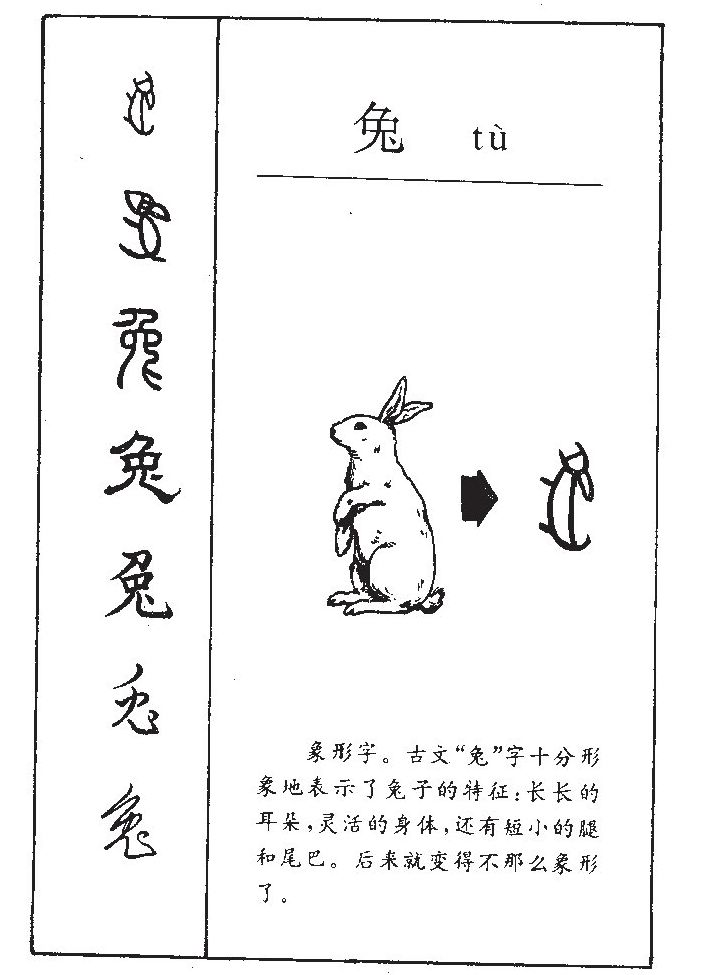 兔字五行属什么-兔字起名的寓意-兔字意思