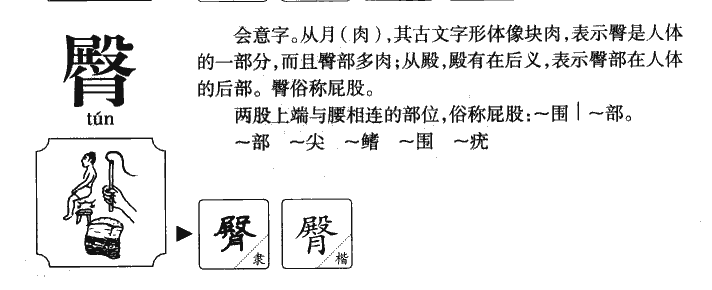 臀字五行属什么-臀字起名的寓意-臀字意思