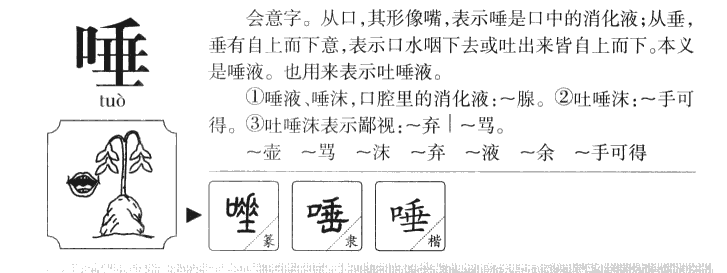 唾字五行属什么-唾字起名的寓意-唾字意思