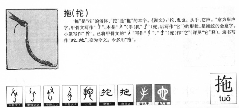 拖字五行属什么-拖字起名的寓意-拖字意思