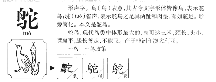 鸵字五行属什么-鸵字起名的寓意-鸵字意思