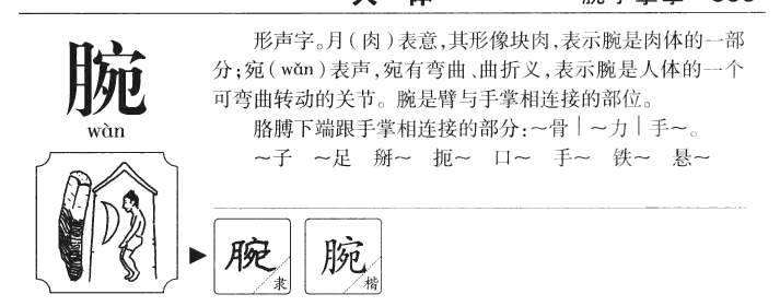 腕字五行属什么-腕字起名的寓意-腕字意思