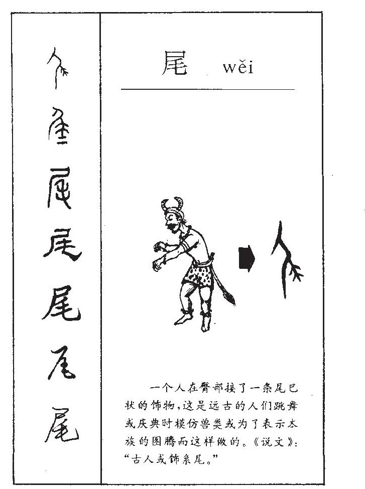 尾字五行属什么-尾字起名的寓意-尾字意思