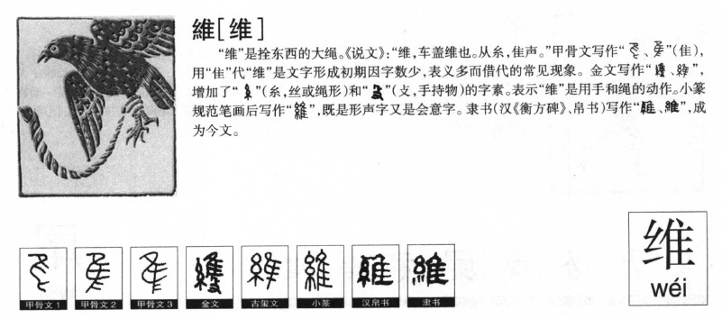 维字五行属什么-维字起名的寓意-维字意思