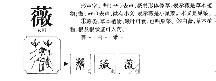 薇字五行属什么-薇字起名的寓意-薇字意思