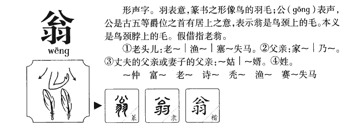 翁字五行属什么-翁字起名的寓意-翁字意思