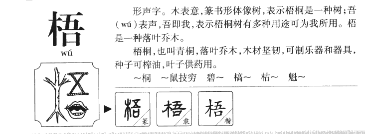 梧字五行属什么-梧字起名的寓意-梧字意思