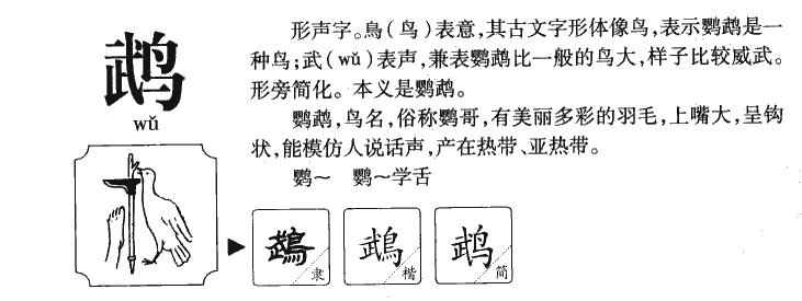 鹉字五行属什么-鹉字起名的寓意-鹉字意思