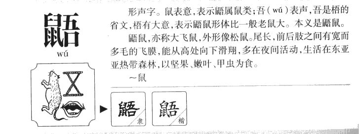 鼯字五行属什么-鼯字起名的寓意-鼯字意思