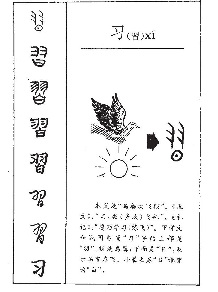 习字五行属什么-习字起名的寓意-习字意思