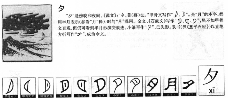 夕字五行属什么-夕字起名的寓意-夕字意思