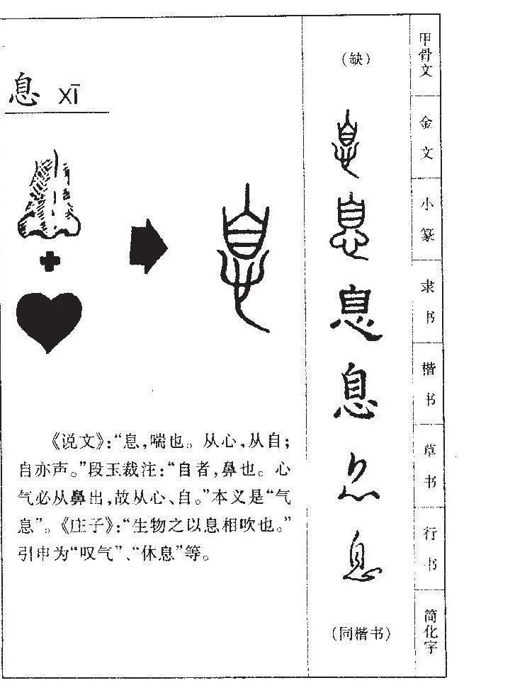 息字五行属什么-息字起名的寓意-息字意思