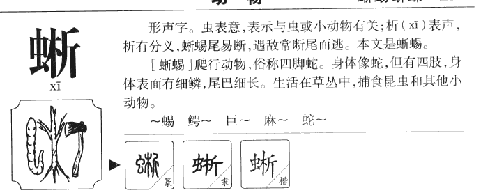 晰字五行属什么-晰字起名的寓意-晰字意思