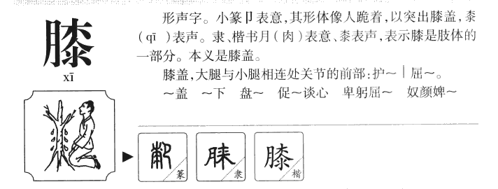 膝字五行属什么-膝字起名的寓意-膝字意思