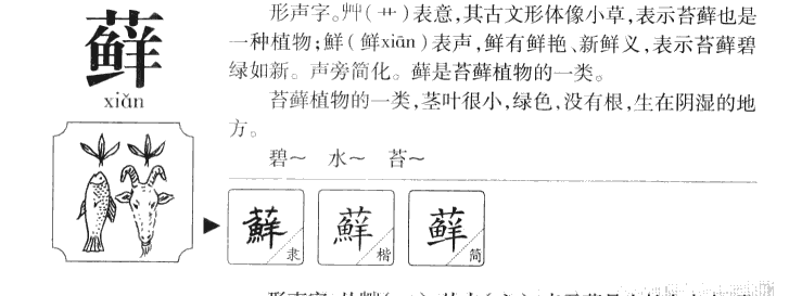 藓字五行属什么-藓字起名的寓意-藓字意思