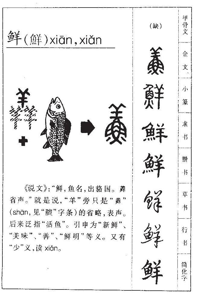 鲜字五行属什么-鲜字起名的寓意-鲜字意思