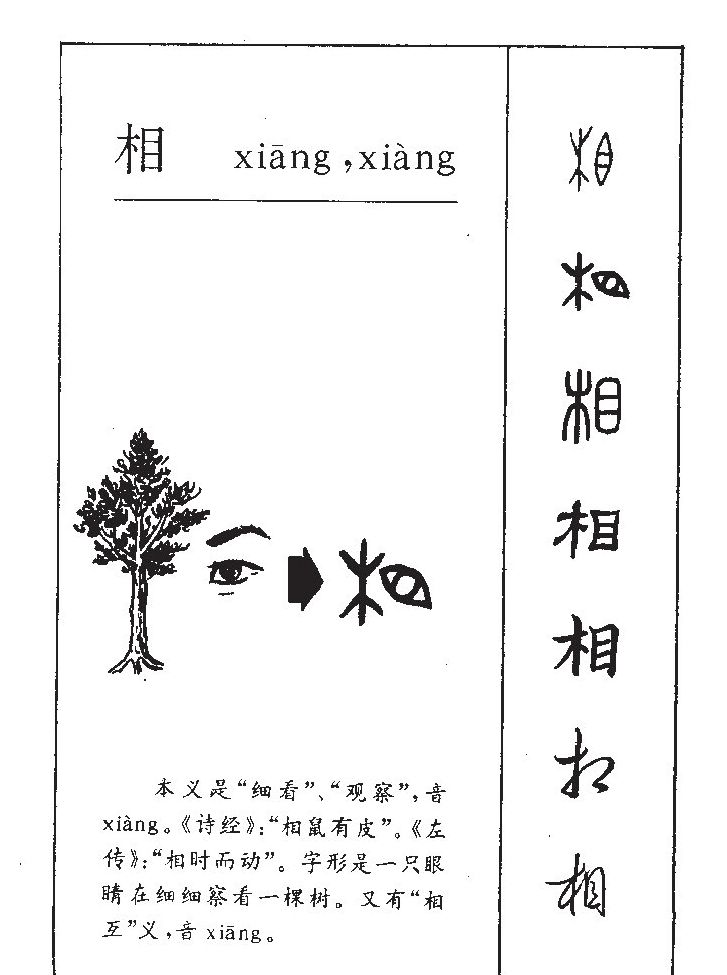 相字五行属什么-相字起名的寓意-相字意思