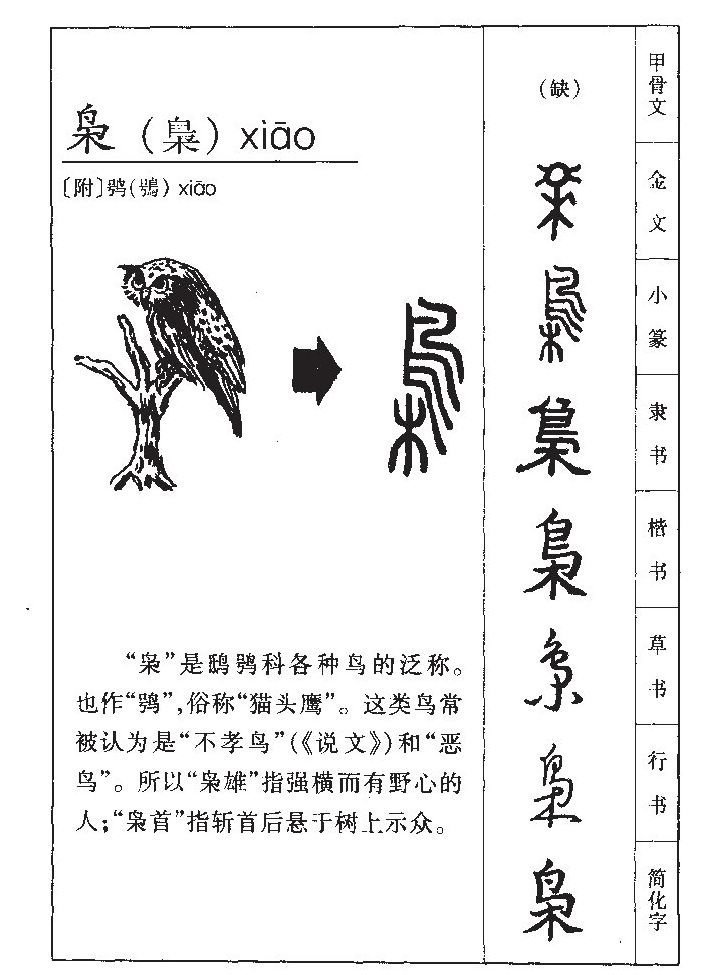 枭字五行属什么-枭字起名的寓意-枭字意思