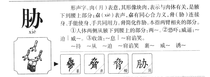 胁字五行属什么-胁字起名的寓意-胁字意思