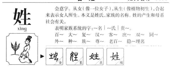 姓字五行属什么-姓字起名的寓意-姓字意思